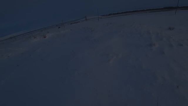 охота на зайца. первый выезд сезона