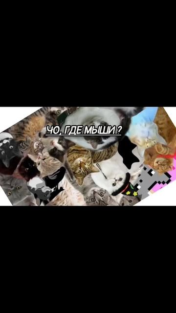 озвучка не моя смотреть онлайн