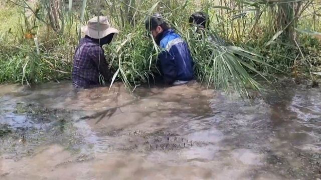 Наловили много карася руками BAlig OVi МОХИГИРИ бо даст РЫБАЛКА В ТАДЖИКИСТАН смотреть онлайн