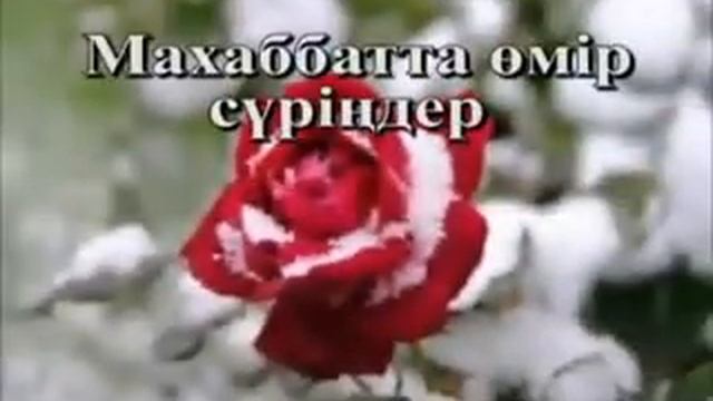 Мейрам кутты болсын смотреть онлайн