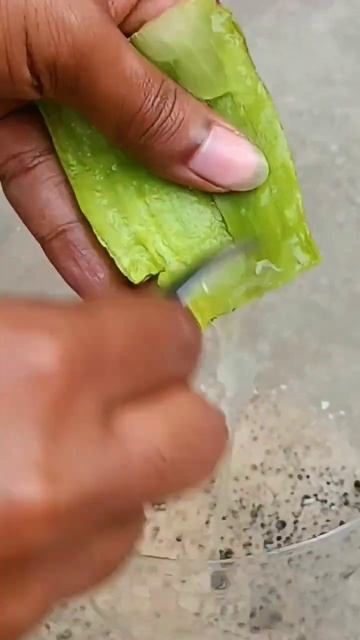 Lemon Tree From Cutting In Coca Cola #lemon #shorts