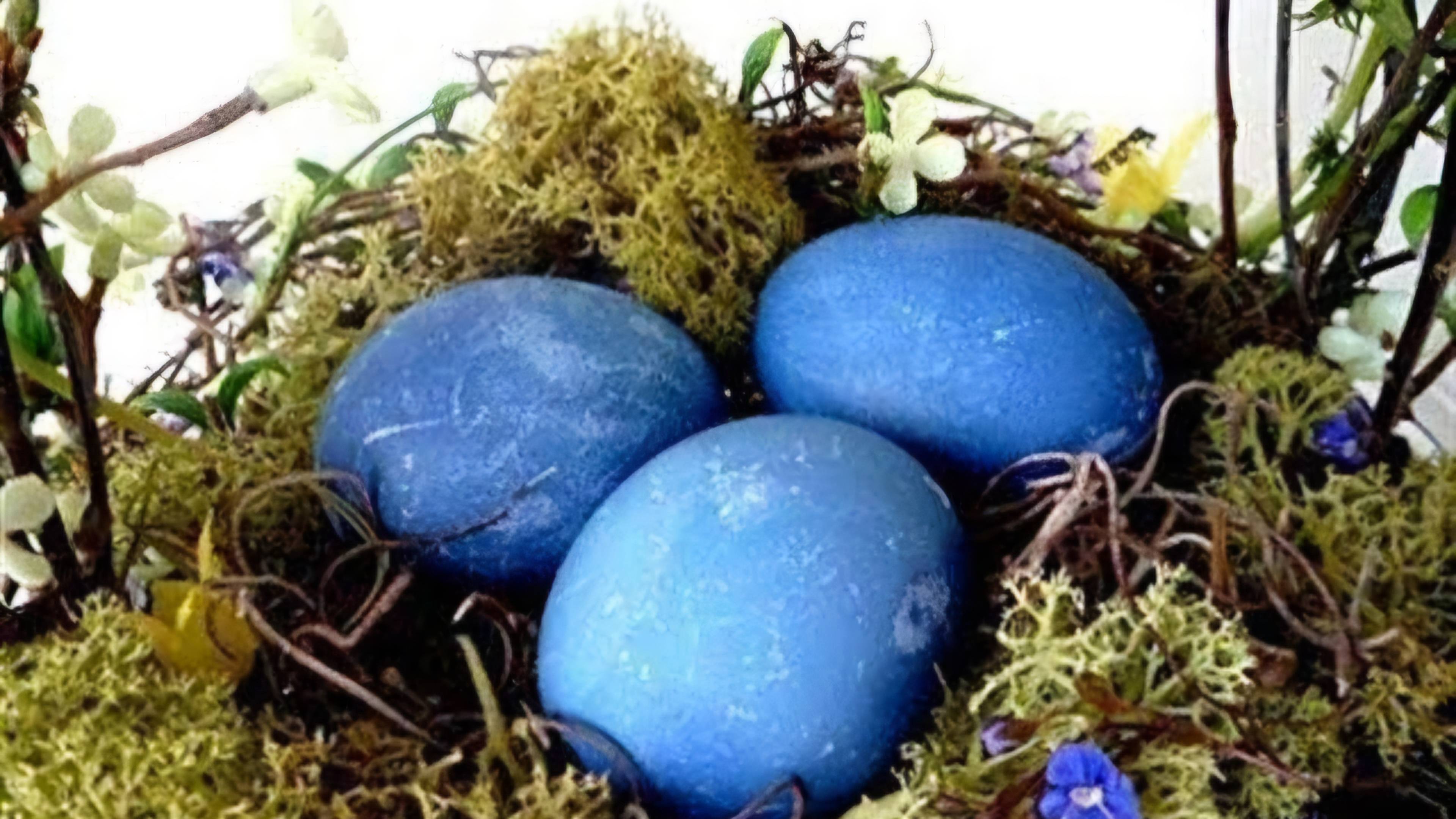 Супер идеи покраски яйц!  Как покрасить яйца на Пасху!