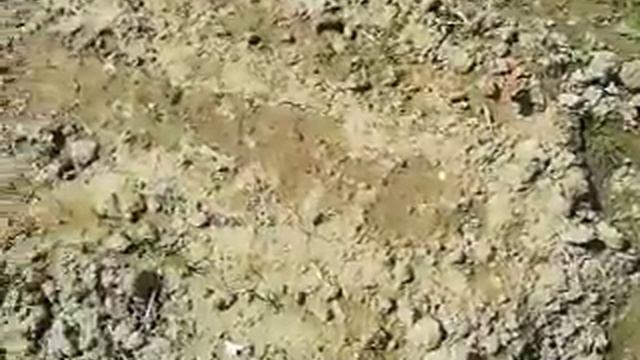 Дачный участок. Обзор 11 смотреть онлайн