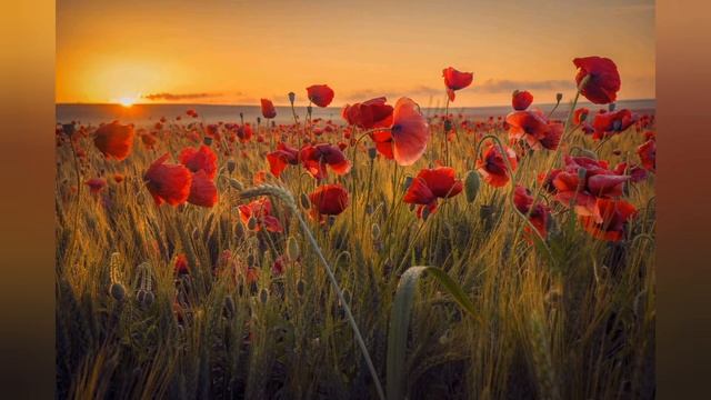 мария Лукач Гуцулочка Карпаты песня для тех кто скучает по карпатам