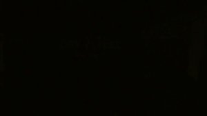 ROX ROYAL HOTEL 5*( Кемер, Турция ).  АНИМАЦИЯ.