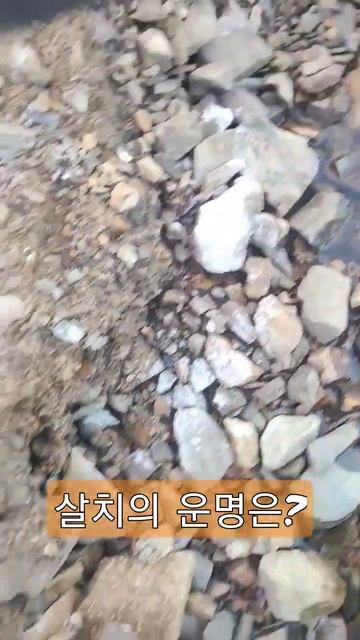 얼음속 살치 смотреть онлайн