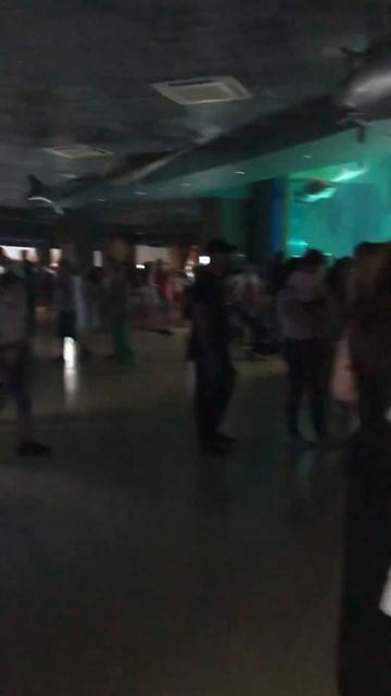 Москвариум парк ВДНХ Москва смотреть онлайн
