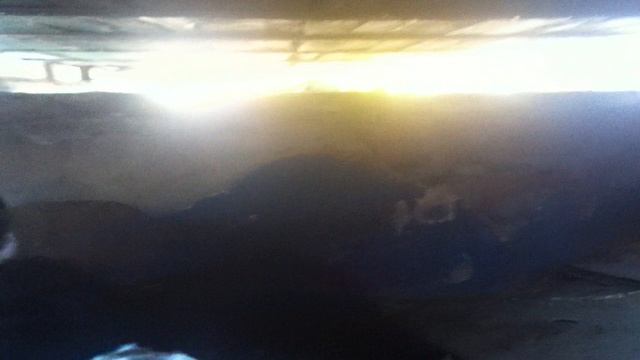 Щенки просто супер IMG_1390