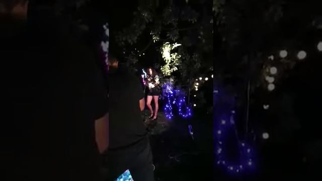 Амфибрахий на траве, 17.08.2018г. смотреть онлайн