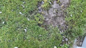 ВЛОГ 240 км за рулем за день...16.04