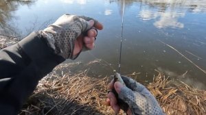 Зима вернулась, а РЫБА попряталась, но ПОЙМАТЬ МОЖНО! Нано-Джиг и Мормышинг ВЕСНОЙ! Рыбалка!