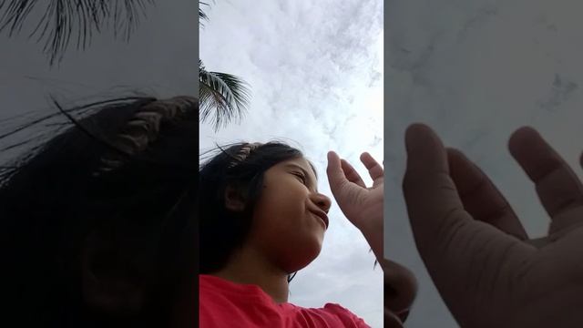 Days in Club Hotel Dolphin. смотреть онлайн