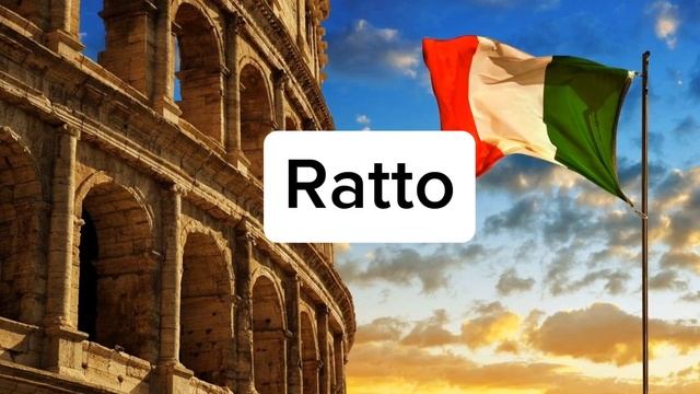 Викторина: Итальянские животные смотреть онлайн