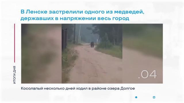Застреленный медведь в Ленске и другие итоги дня – коротко смотреть онлайн