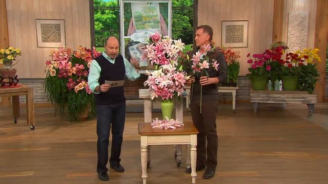 Roberta's 4-pc. Quarter Century Quadrupled Oriental Lily Collection with Dan Wheeler смотреть онлайн