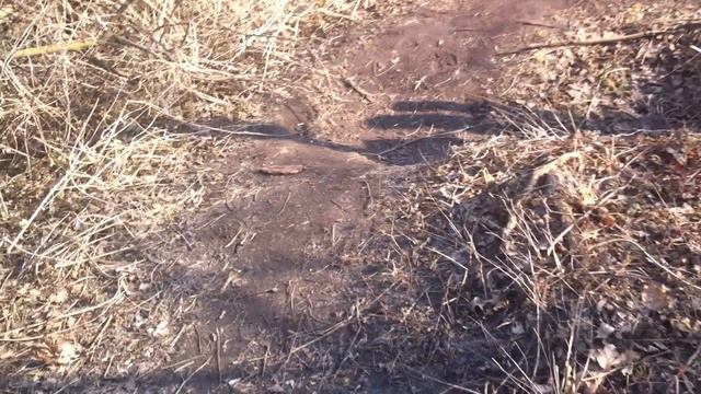 Весна пришла благодать IMG_8710