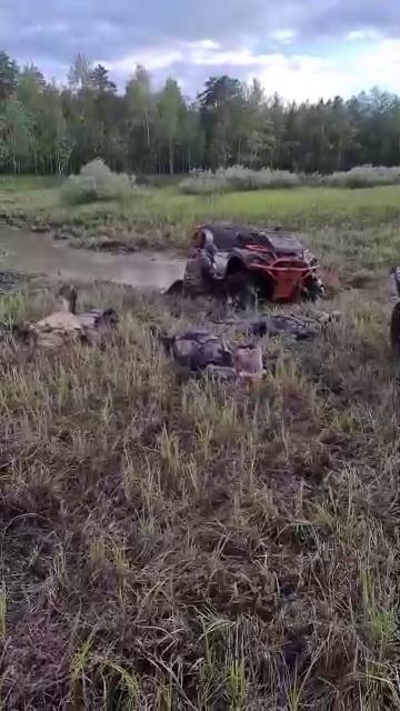 Такой активный отдых 😂 смотреть онлайн