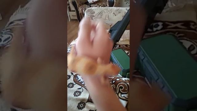 Зиблефар-Буся, как содержать рептилию смотреть онлайн