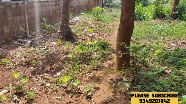 8 cent plot for sale at Kozhikode kakkodi (house plot) смотреть онлайн