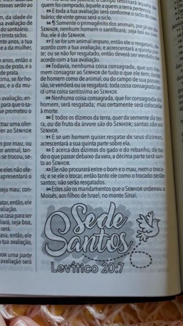 BKJ 1611 - Lettering Bible смотреть онлайн
