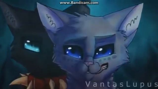 Коты воители:Если ты меня не любишь смотреть онлайн