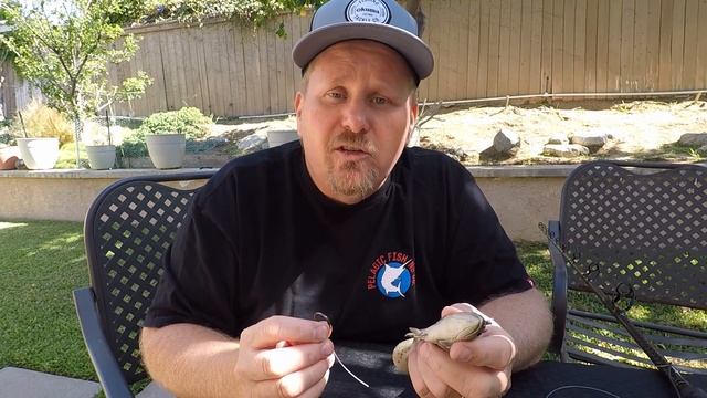 How To Hook Live Bait | Four Methods to Hook Live Bait смотреть онлайн