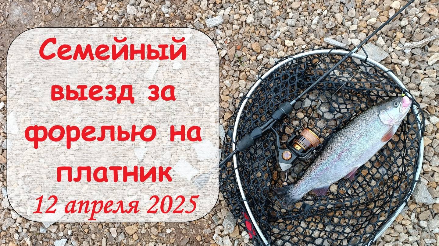 семейный выезд за форелью на платник 12 апреля 2025 смотреть онлайн