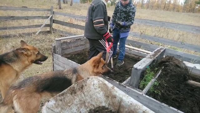 9 октября 2021 г. День удался. Мужчины наши молодцы. смотреть онлайн