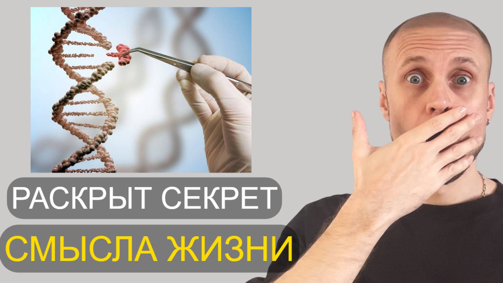 Вот для чего ты существуешь на самом деле В чём смысл жизни смотреть онлайн