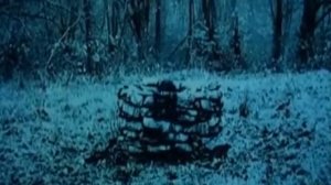 девочка из колодца| фильм звонок