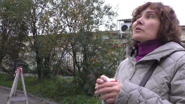 И СЛЕЗЫ И РАДОСТЬ/ ВОТ ЭТО БЫЛ СЮРПРИЗ/ 25 сентября 2023 смотреть онлайн