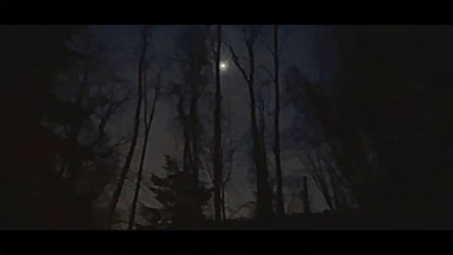 Black And Neon Night Skies (Official Music Video) смотреть онлайн