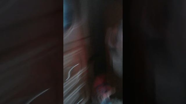 Паспорта для игрушек видео для детей смотреть онлайн