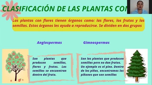 TEMA 3 LAS PLANTAS смотреть онлайн