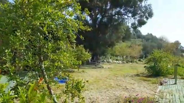 Yeni Adet'in Bodrum Papatyaları смотреть онлайн