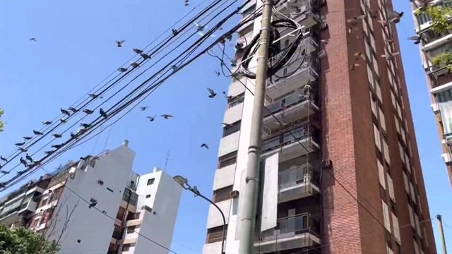 Буэнос-Айрес: Оформляем аргентинскую банковскую карту. смотреть онлайн