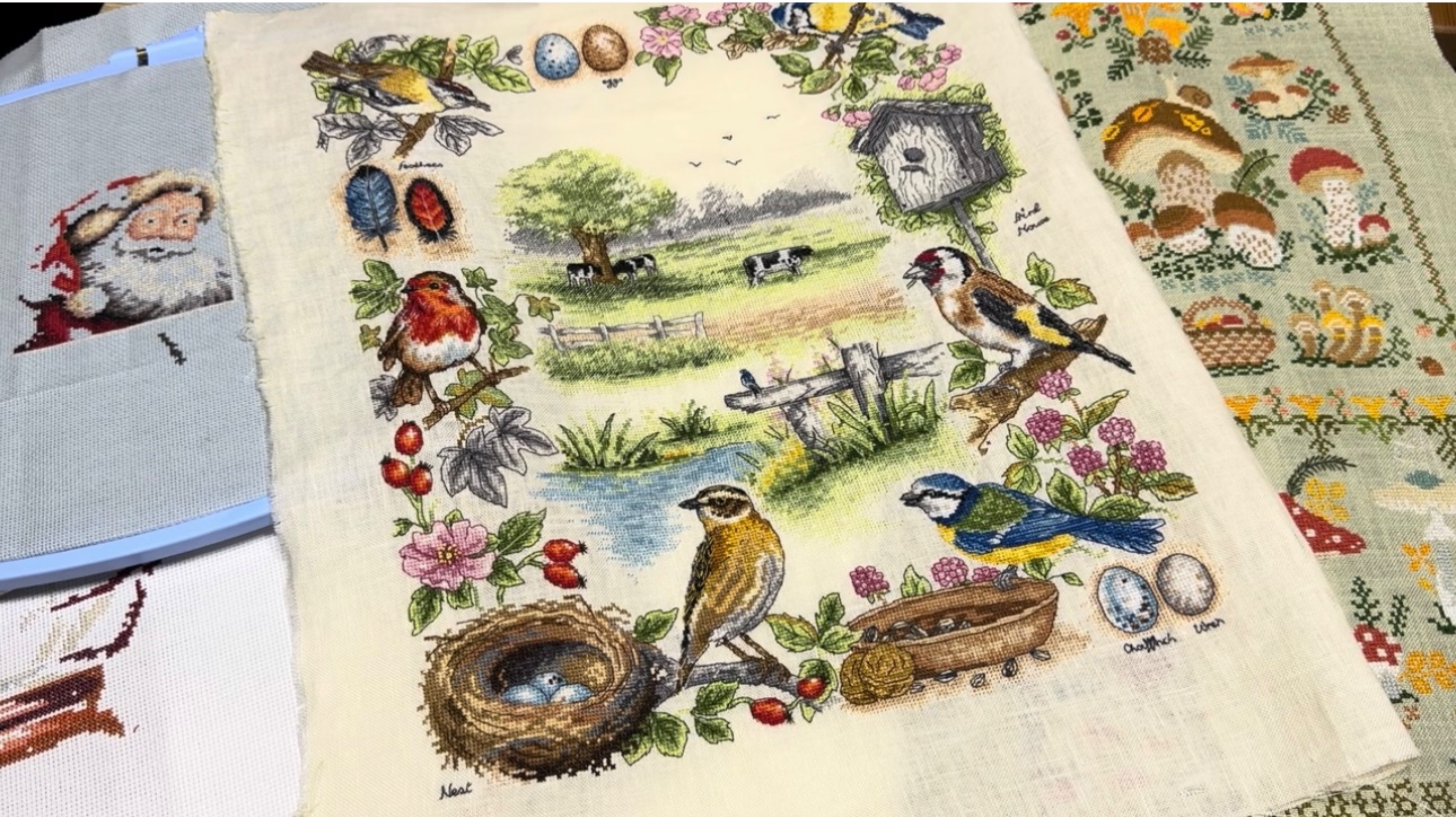 Вышивка крестом/“Птичий семплер”от Anchor/“Съедобное-несъедобное”от Совиного леса/Новогодние старты. смотреть онлайн