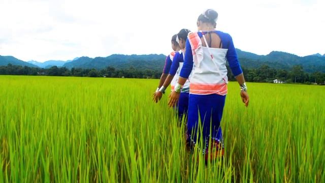 Kollong pahar|Ankur Tanay|By Dimo sìsang mimbir|Group Dance video смотреть онлайн