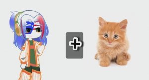 гача меме анимация Америка + кошечка (*Кометрика?*)