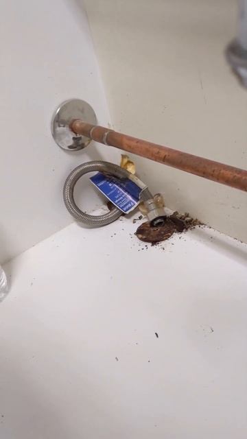 Why does the floor drain smell in the bathroom #shorts смотреть онлайн