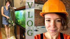 Аквариумная студия Маши Блюм | Vlog Masha Bloom | Простой запуск аквариума | Коряга для аквариума