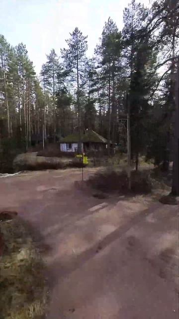 Дома в лесу #travel #аврора #realestate смотреть онлайн