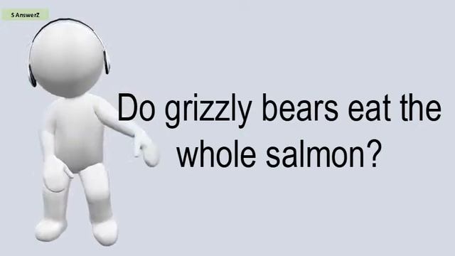 Do Grizzly Bears Eat The Whole Salmon? смотреть онлайн