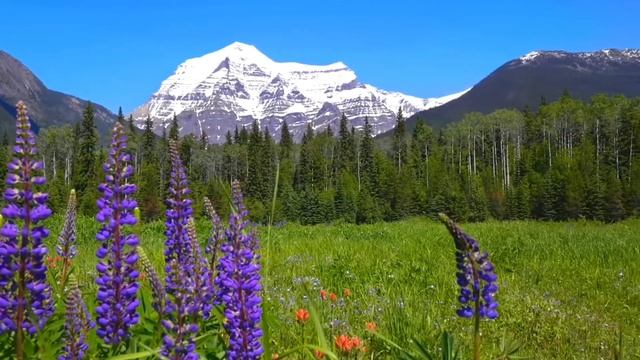 Я скучаю по тебе 🌺 Музыка - Андрей Обидин смотреть онлайн