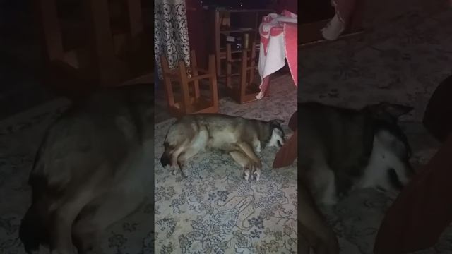 после обеда. смотреть онлайн