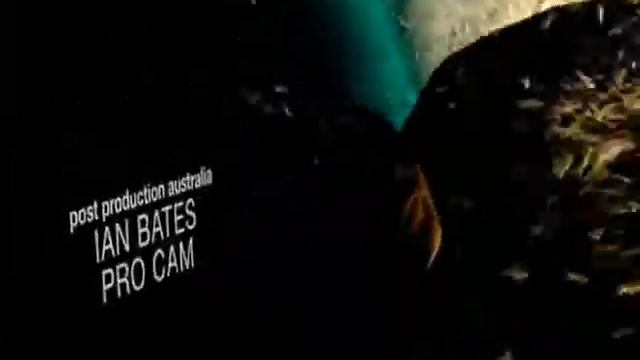 Sharkwater's Ending смотреть онлайн