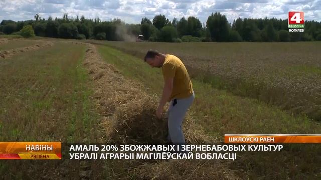 Почти 20% зерновых и зернобобовых культур убрано аграриями Могилевской области смотреть онлайн