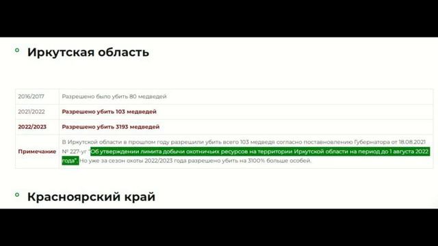 Паша и Медведь. смотреть онлайн