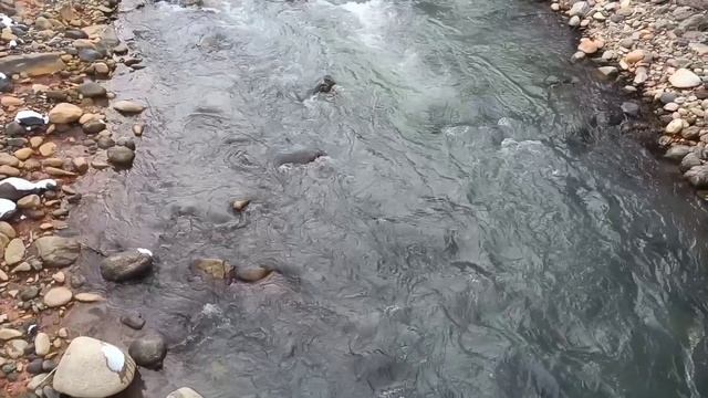 ПРИЭЛЬБРУСЬЕ. ШУМ РЕКИ. РЕЛАКС.