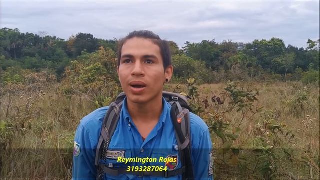 FLORA Y FAUNA EN CAÑO CRISTALES смотреть онлайн